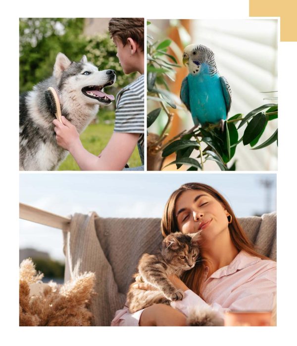 Catalogo-makito-2025-797