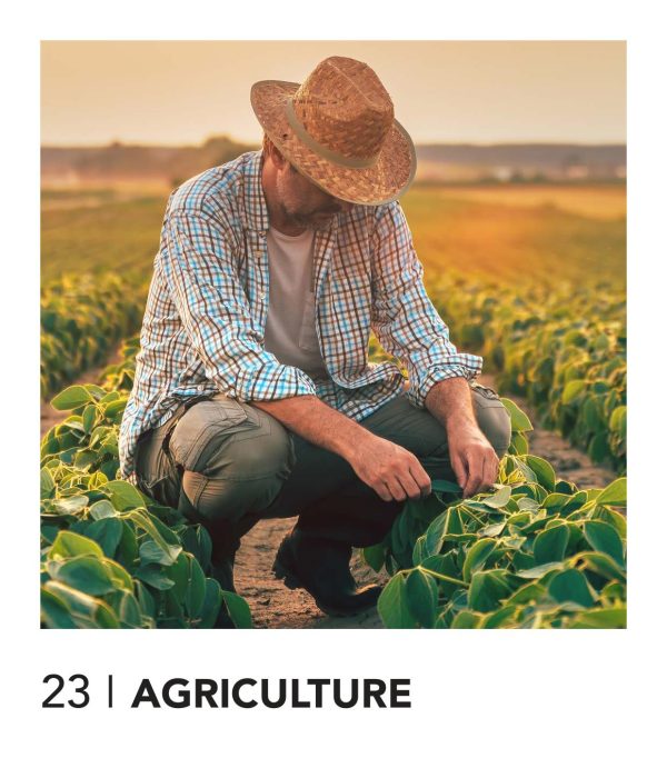 Catalogo-makito-2025-846